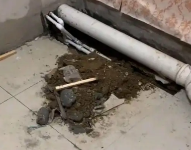 开州卫生间漏水检测哪家好